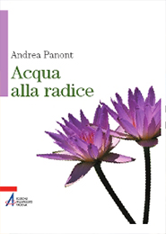 Acqua alla radice